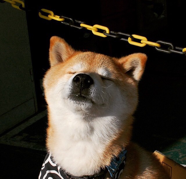 KAIYUN 中国大陆-巴黎圣日耳曼稳居法甲榜首，优势逐步扩大，巴黎圣日耳曼是哪个国家的俱乐部