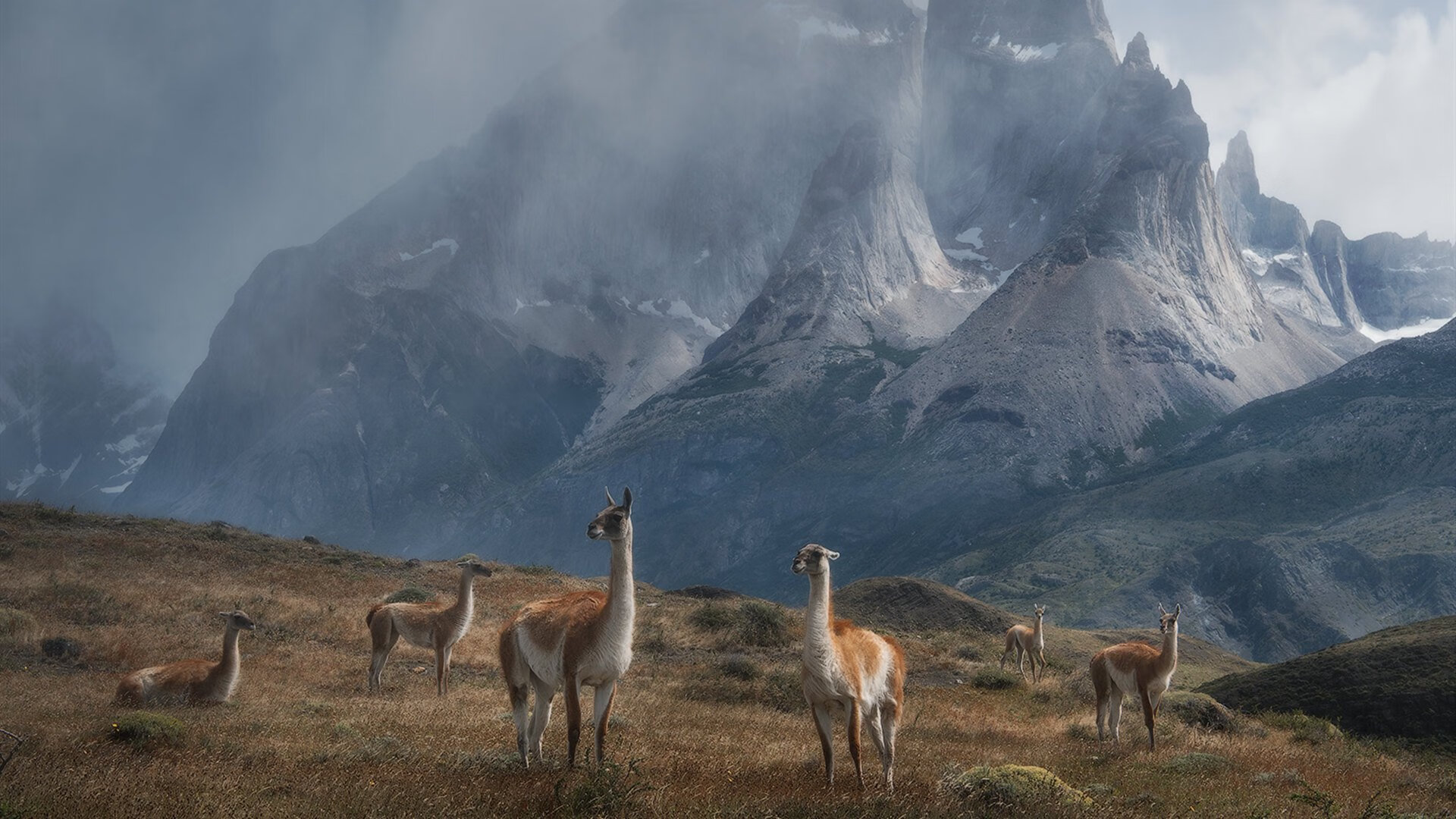 托桑·埃夫布奥姆万在NBA常规赛中首次亮相,埃托奥和布冯相视一笑