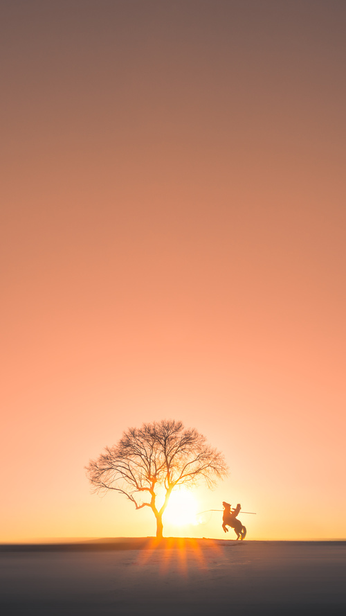 爆款转会:背后隐藏的战术布局秘密,转会期爆料