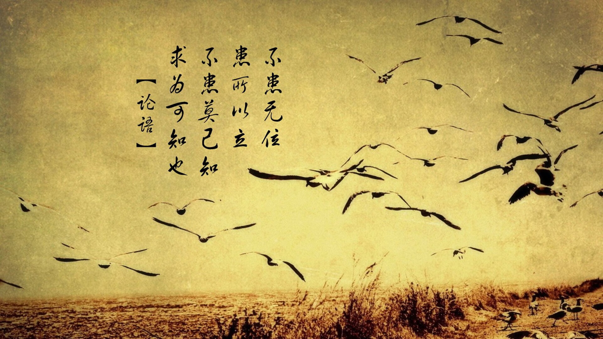 环保材料在赛车中的应用新进展,汽车环保材料在汽车上的使用前景