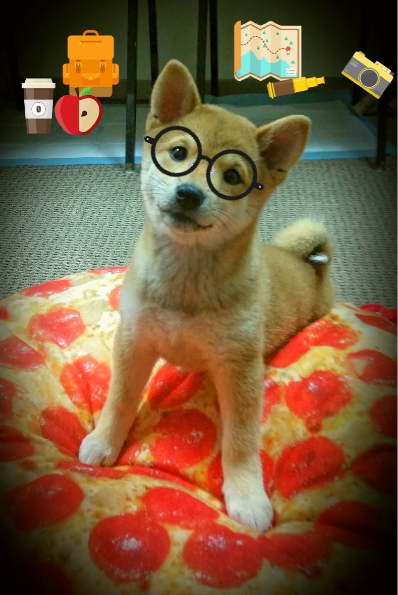 直播平台创新:让全球观众零距离体验比赛