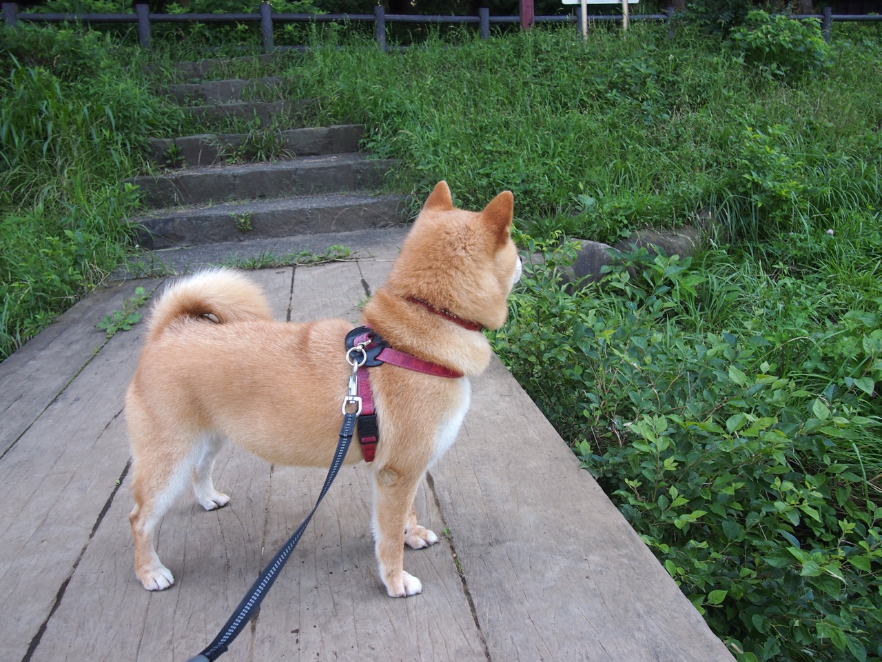 kaiyun网站-赛季最震撼的绝杀时刻，谁的投篮最令人窒息？，本赛季投篮能力前十