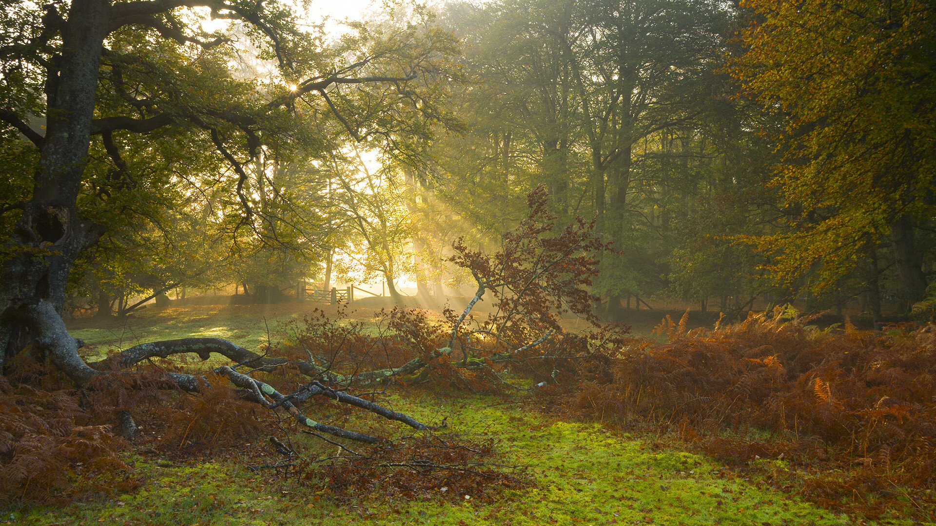 kaiyun官方入口登录-奥格斯堡主场全力以赴，欲与希尔莱姆展开激烈对抗，奥格斯堡足球俱乐部