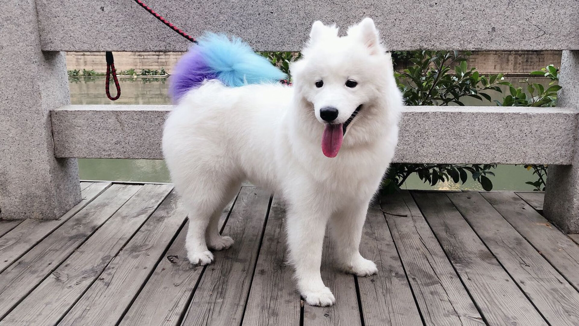 开云·Kaiyun网页版-意甲赛场上出现了一起不公正的判罚事件，意甲全场