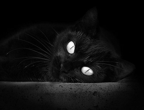 热议篮球三分命中率排行榜,nba三分球命中数纪录