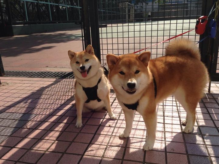 石油人防守反击效率提升,石油人防守反击效率提升方法