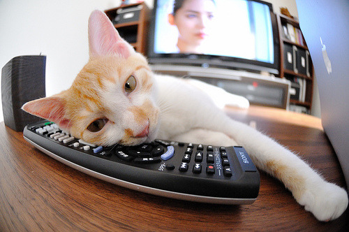 纽卡斯尔联主场3-1大胜富勒姆,进攻端火力全开,纽卡斯尔联球场