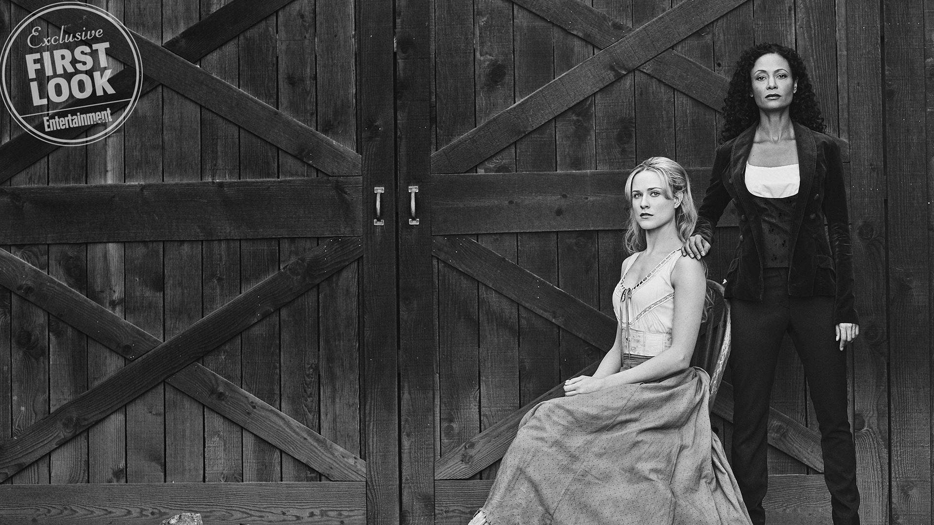 阿根廷球队在南美洲锦标赛上夺冠，全队欢呼，阿根廷足球队美洲杯