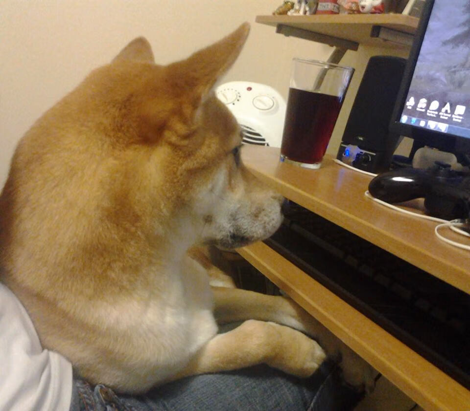 开云·体育官网APP下载-黑山击败摩尔多瓦，欧洲国家联赛胜利在望，黑山联赛水平