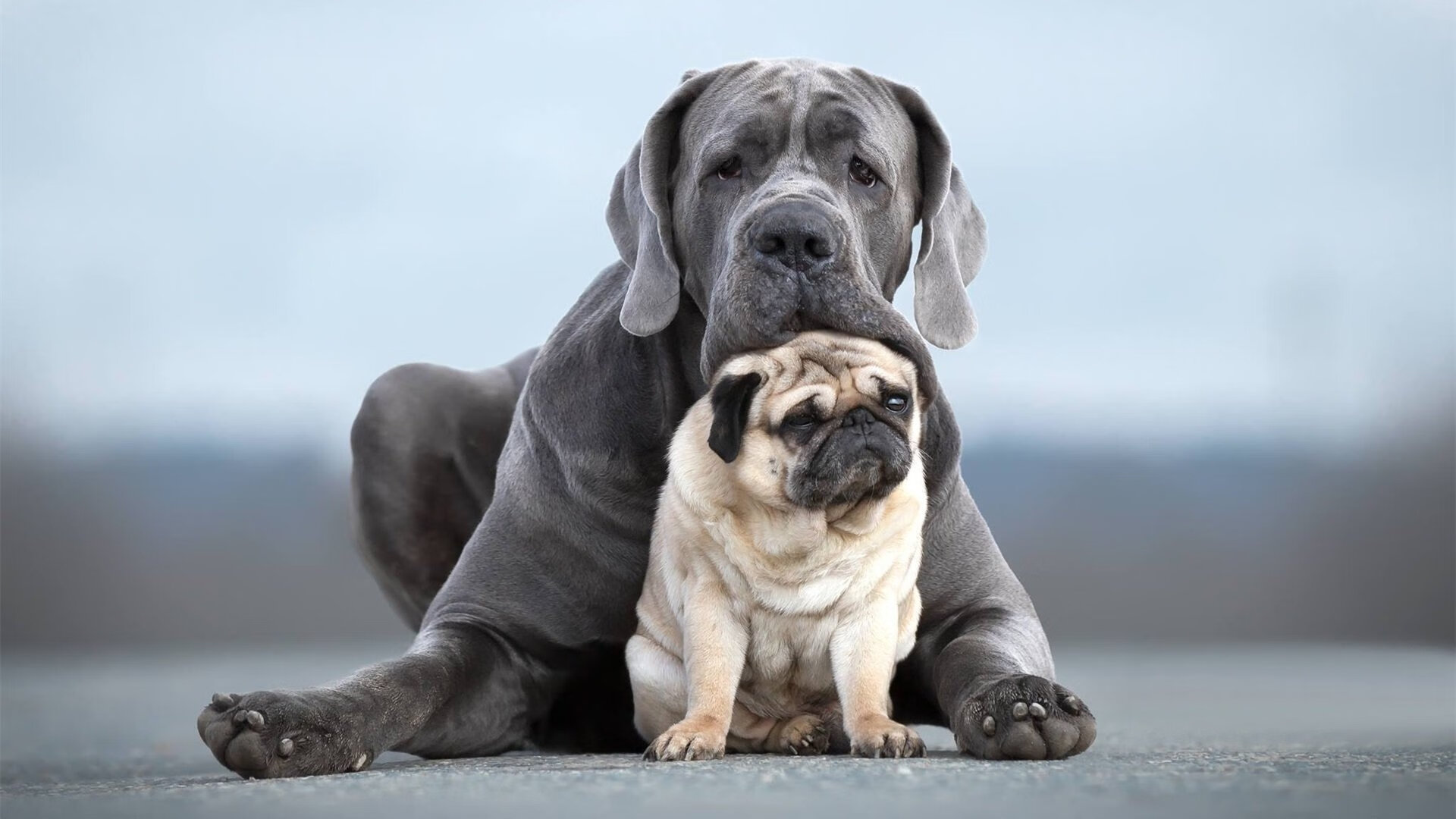 足球比赛增加无人机视角分析战术,足球场无人机航拍