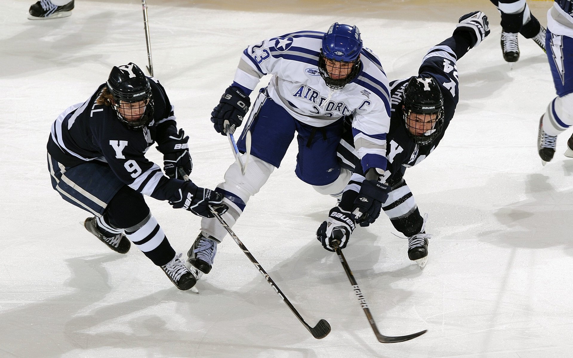 开云·体育官网-“美洲狮队展现顶级球员风采，未来前景无限”