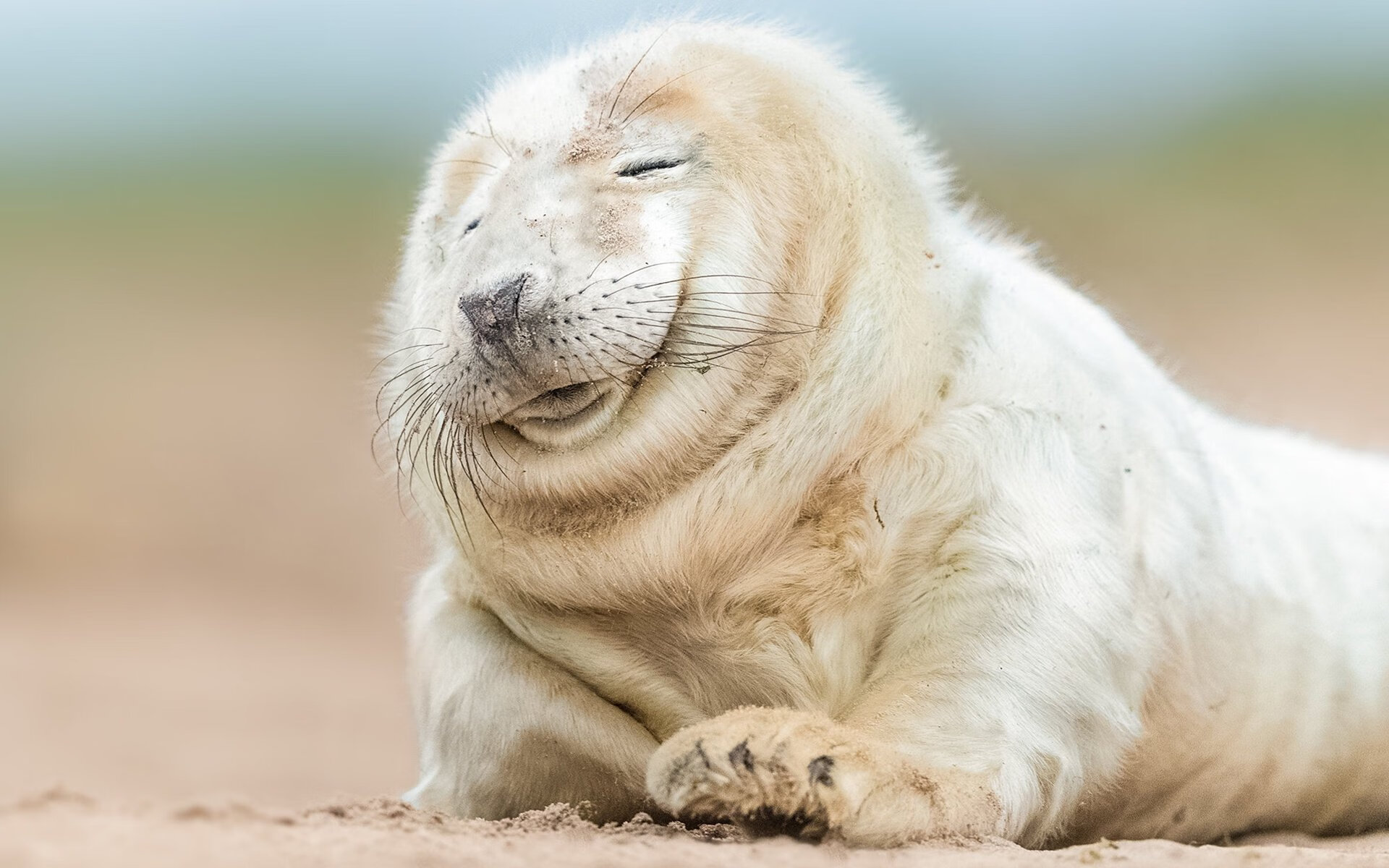 开云体育APP下载-旗下足球俱乐部成立绿色能源基金